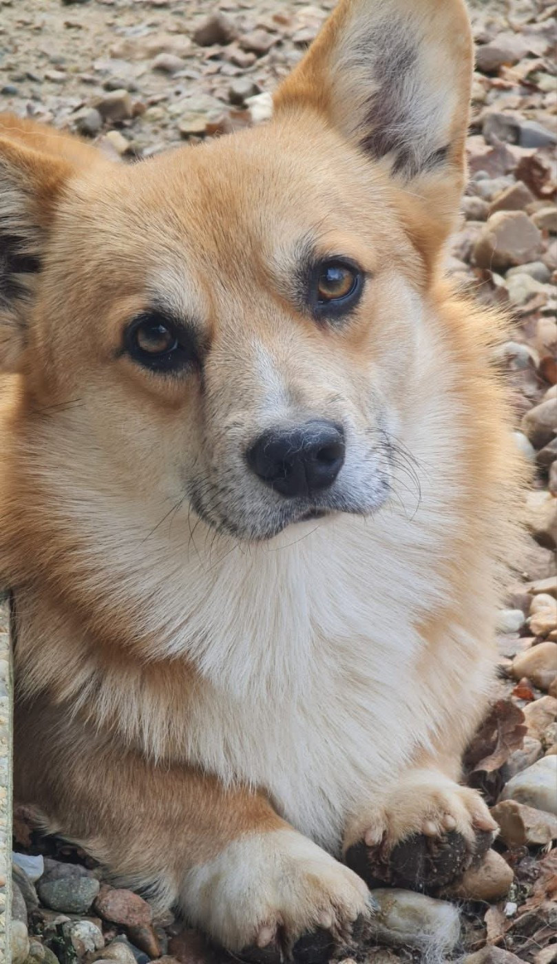 U'hegel des Douces Merveilles